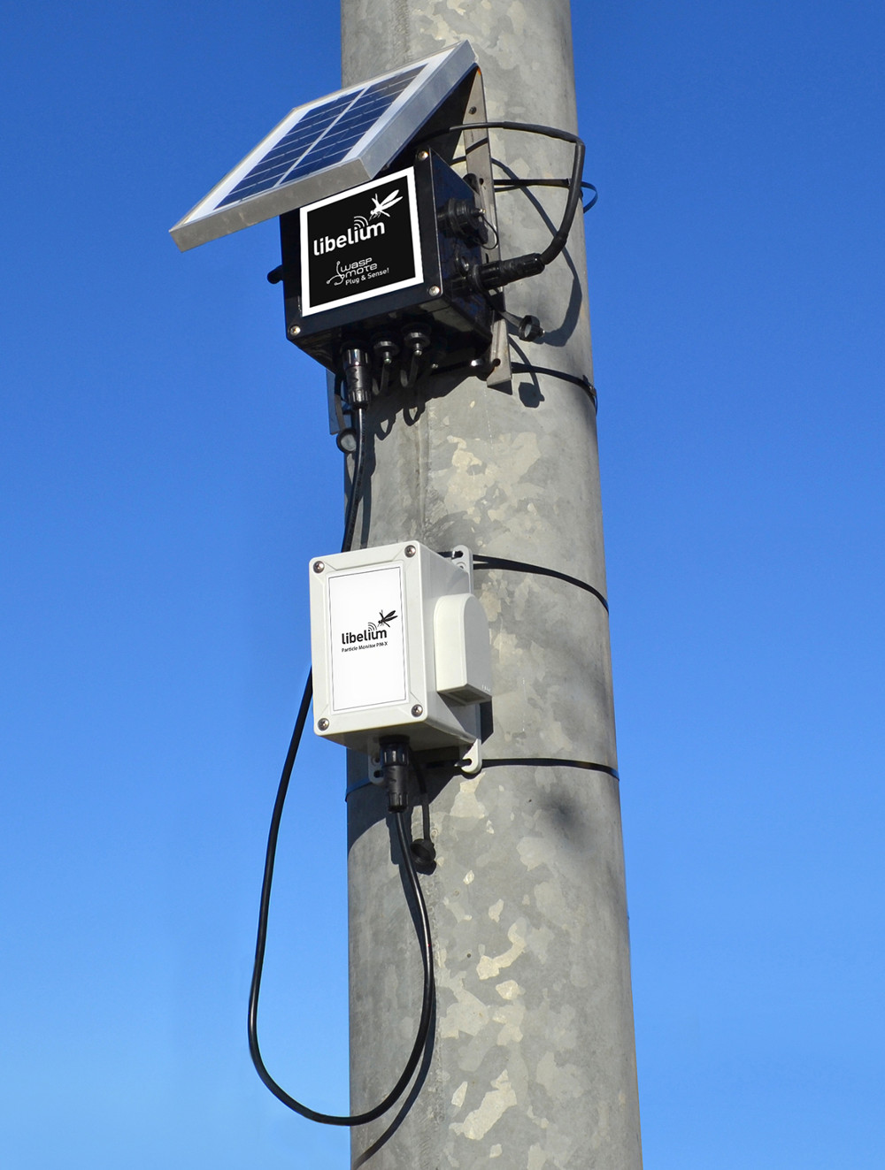 Устройство Plug & Sense Умная окружающая среда PRO с подключенным датчиком взвешенных частиц - пыли (PM1 / PM2.5 / PM10)